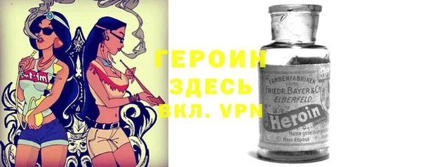 хмурый Алзамай