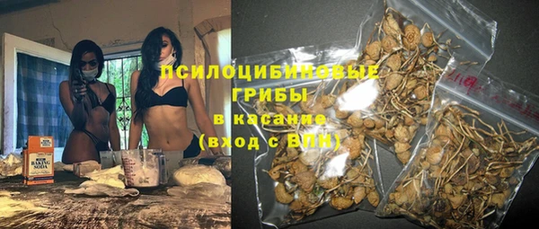 хмурый Алзамай