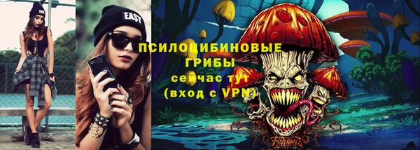 хмурый Алзамай