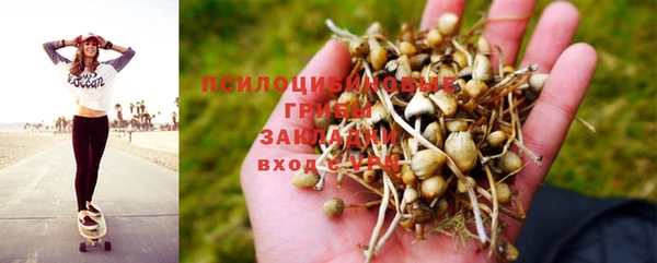 хмурый Алзамай